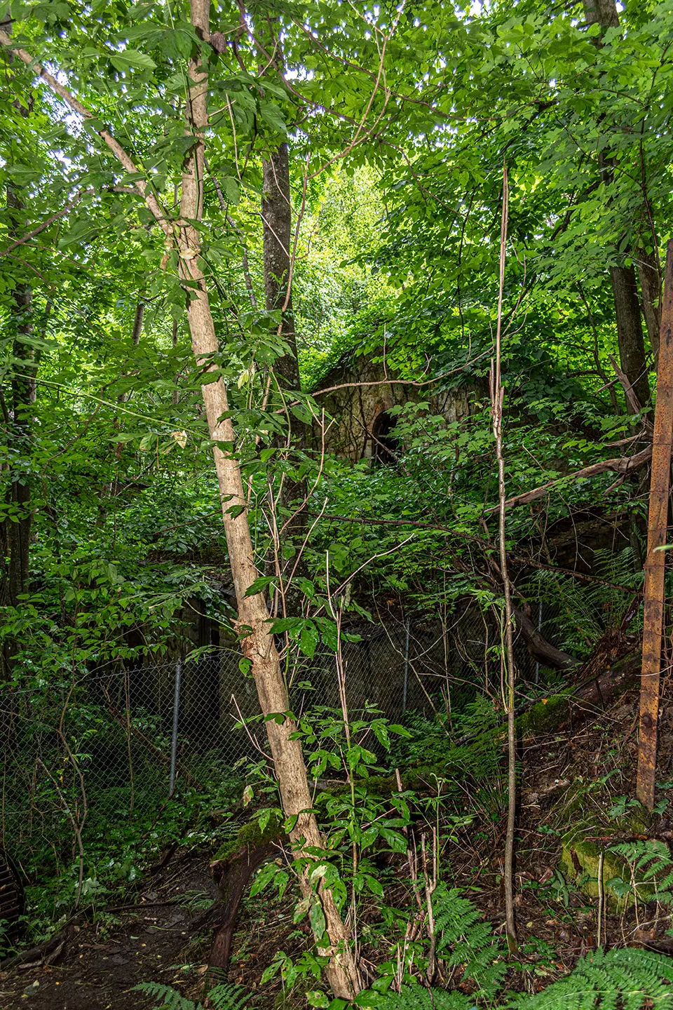 Kaymoor 16