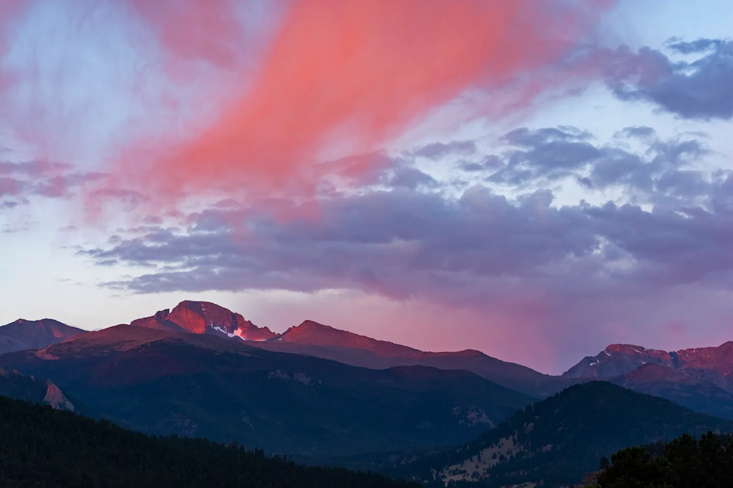 Estes 19