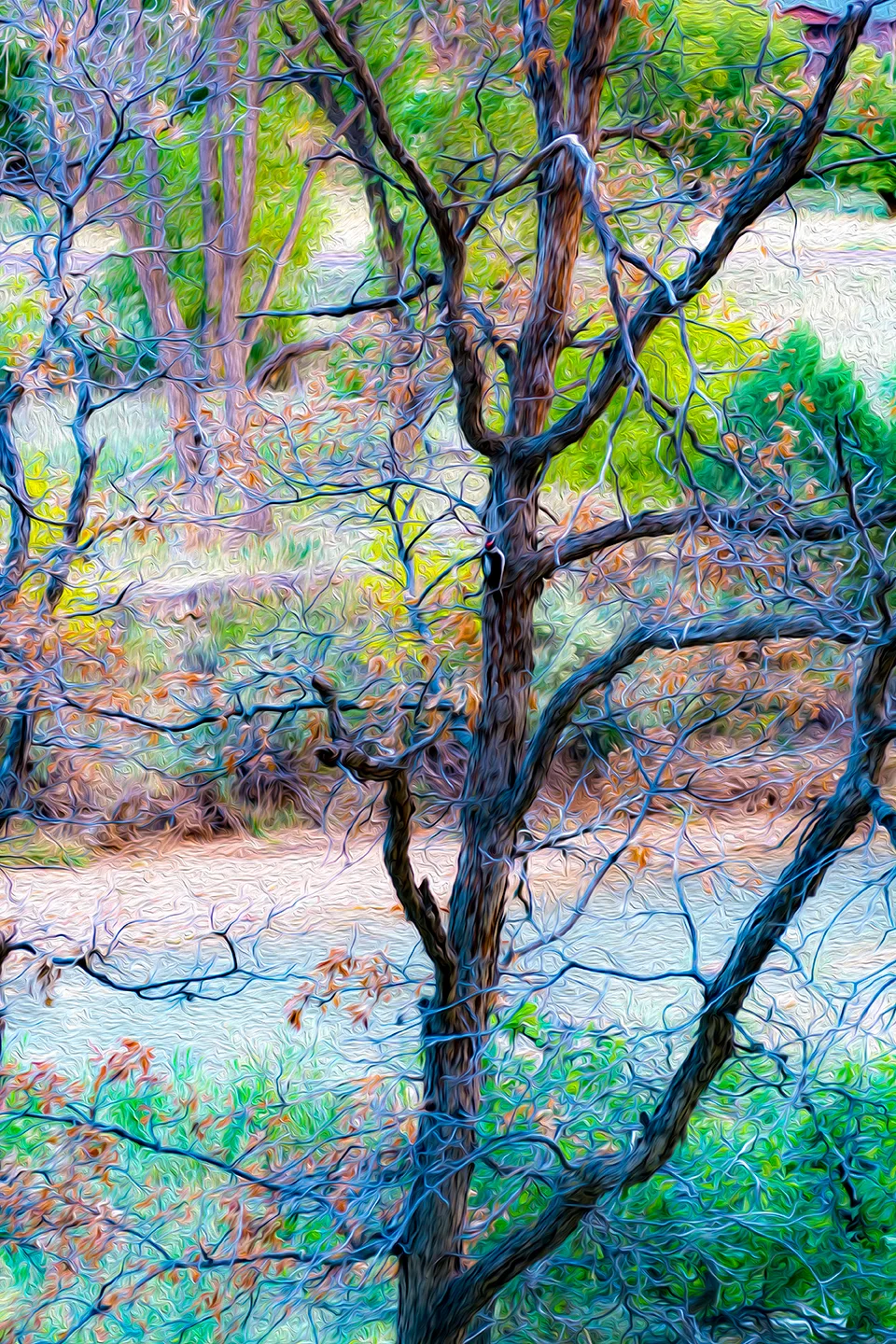 Zion 5