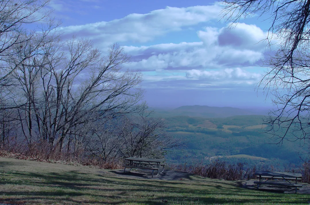 Picnic Curve