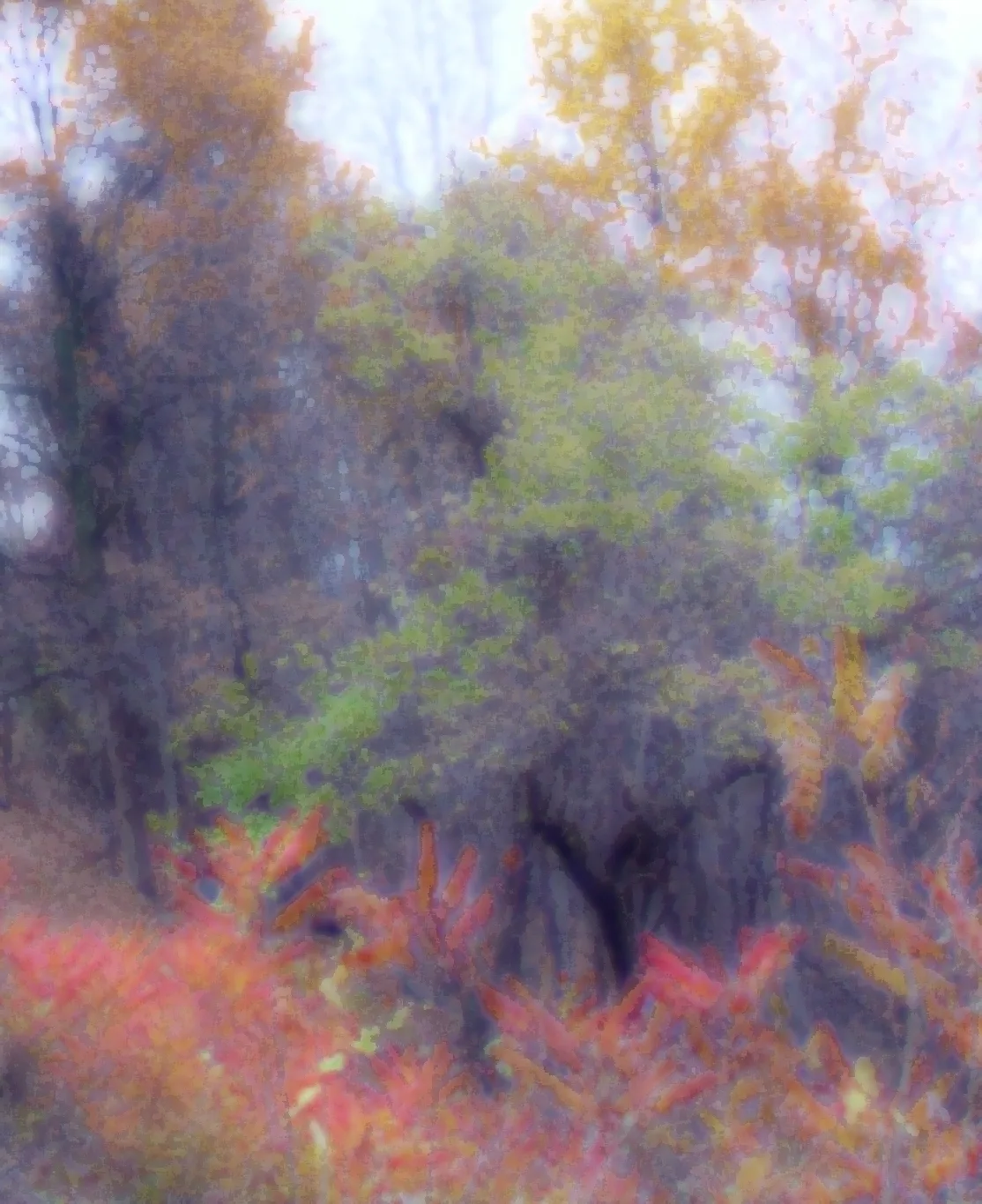 Treeunderpaint