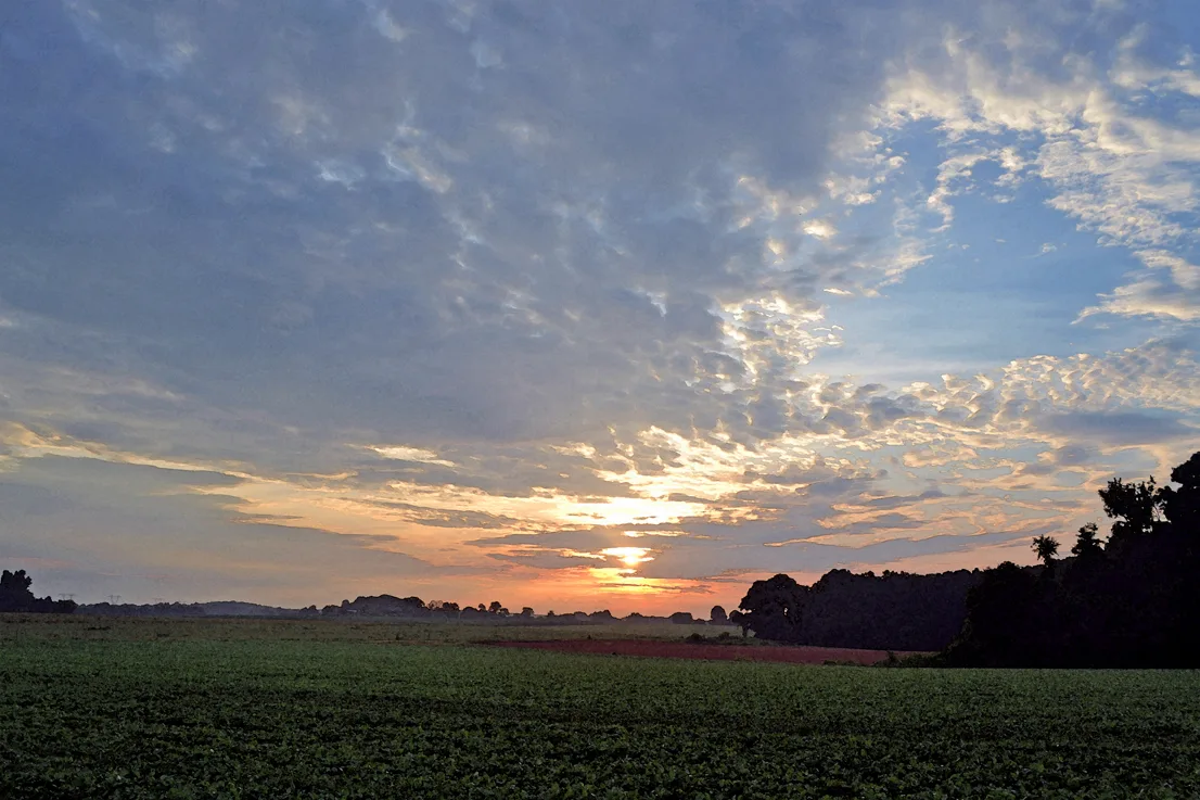 Hoffner Farm 24