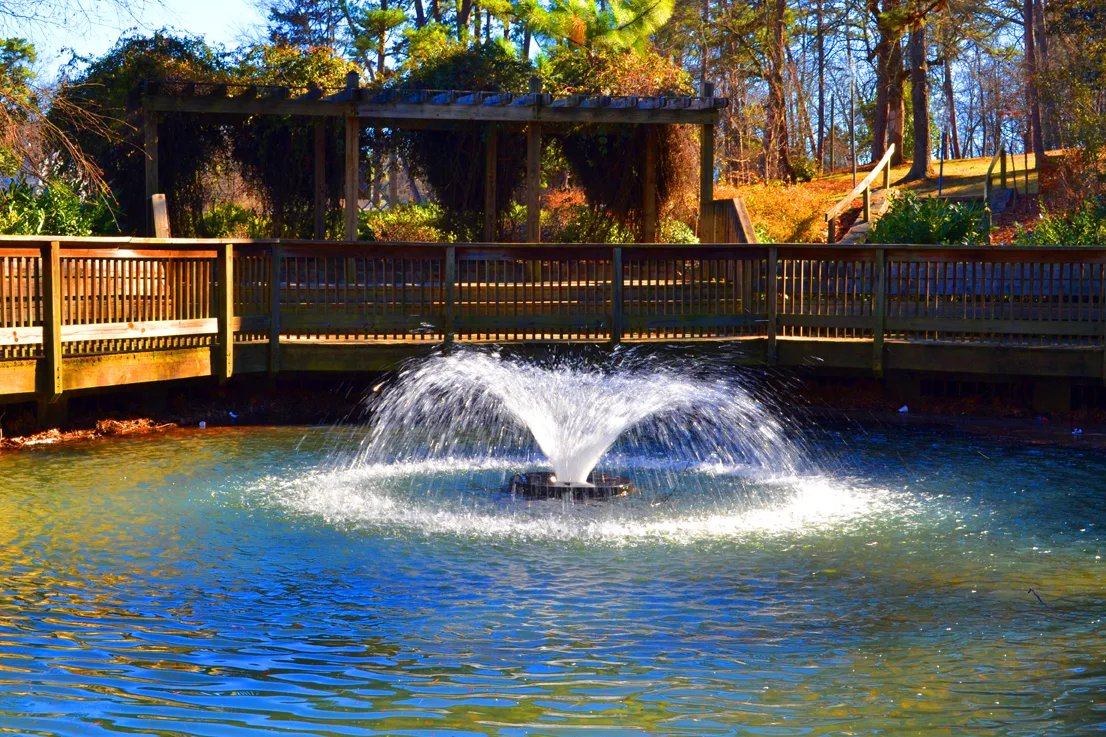 Fountain 11