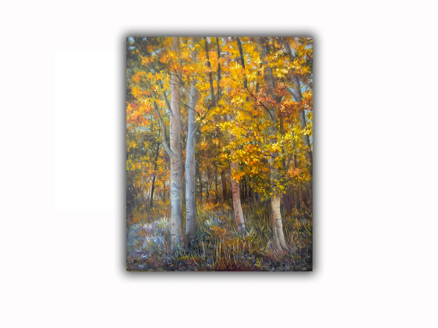 Aspens at Tioga