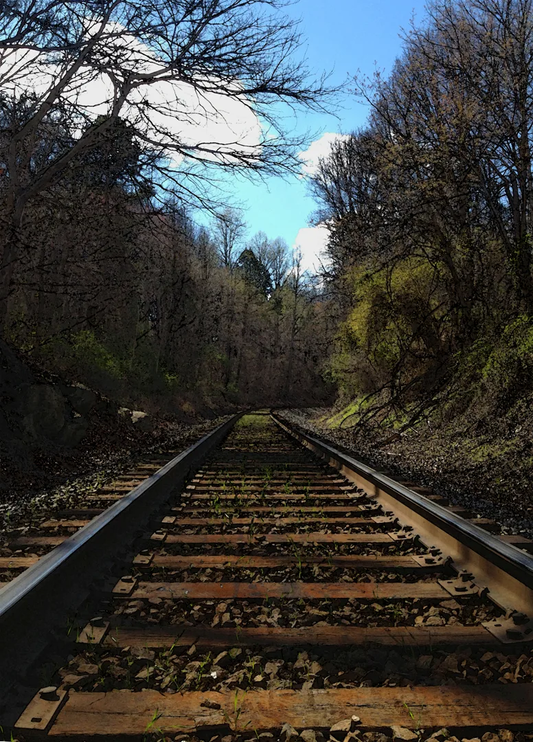 RR Track wc