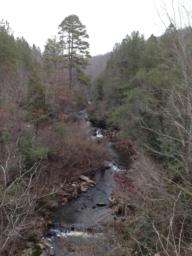 Uwharrie stream