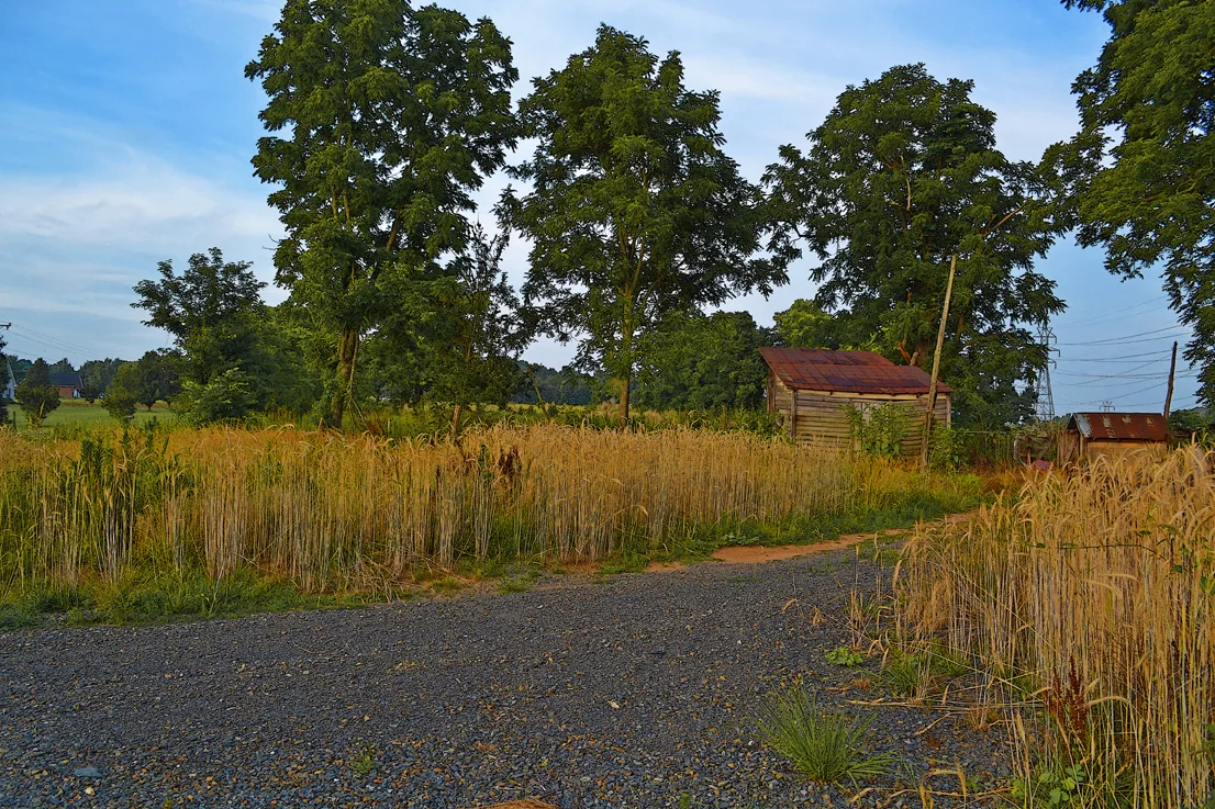 Rowan County 2