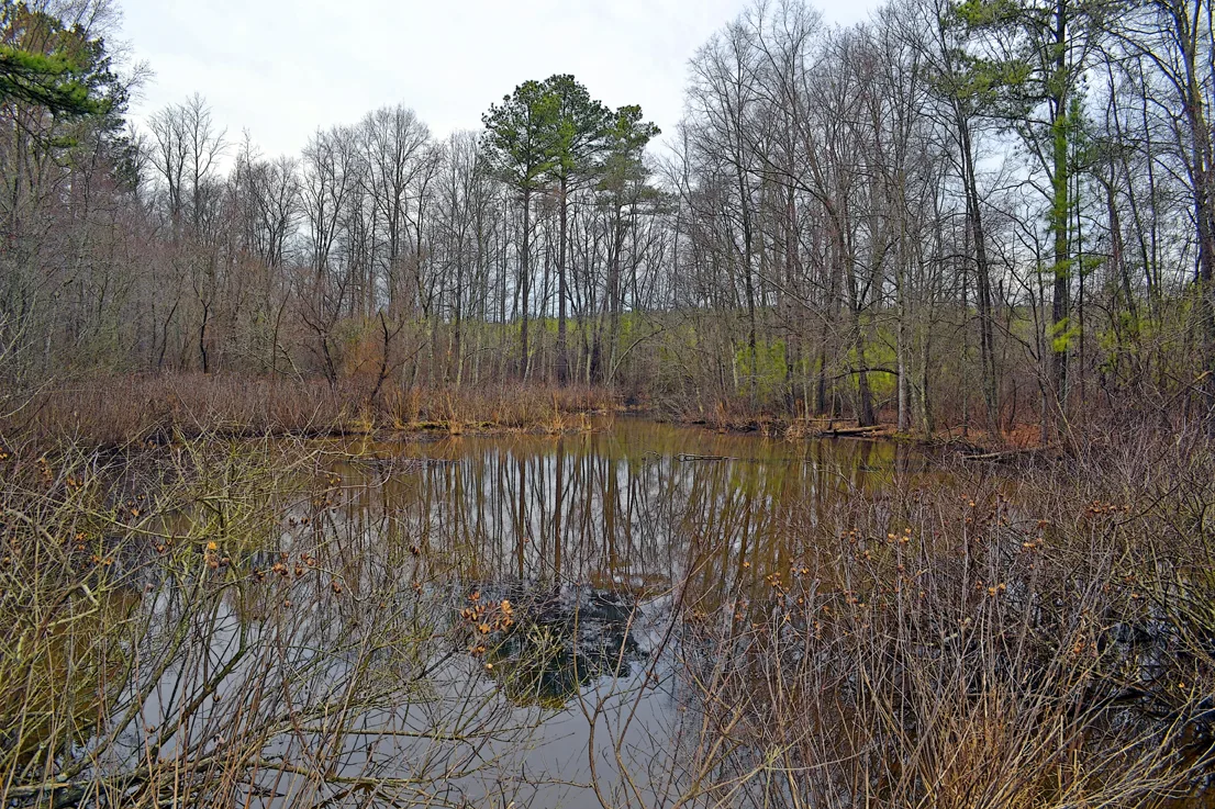 Wildlife Access 7