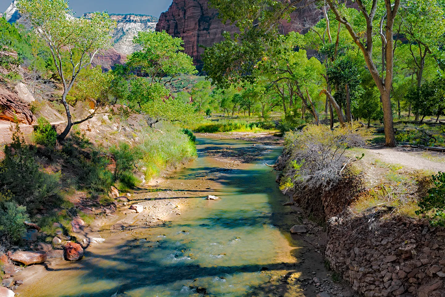 Zion 29