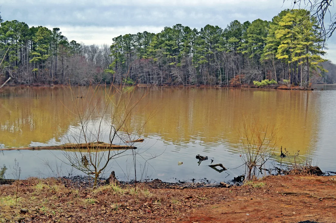 Wildlife Access 5