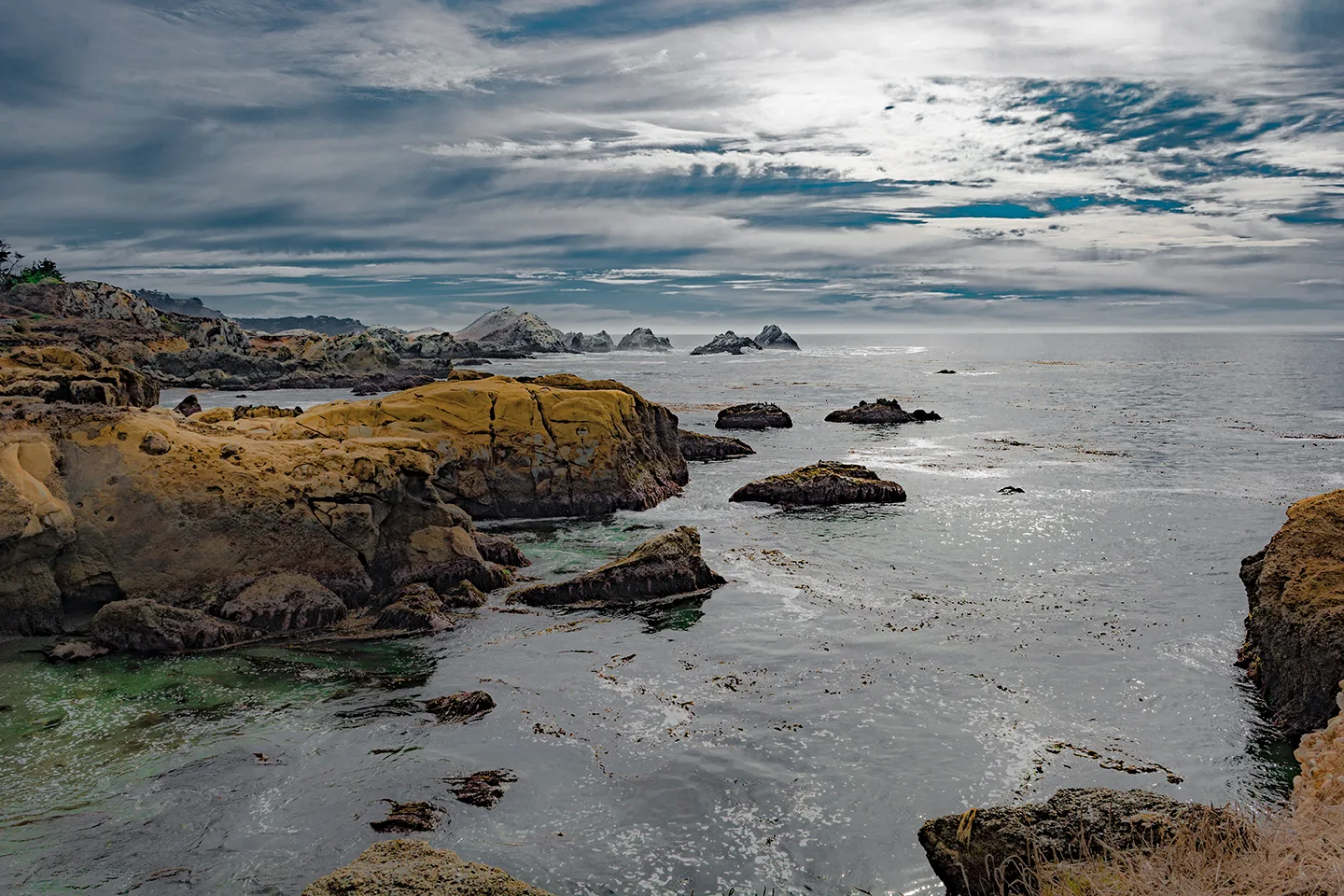 Pacifichighway 14