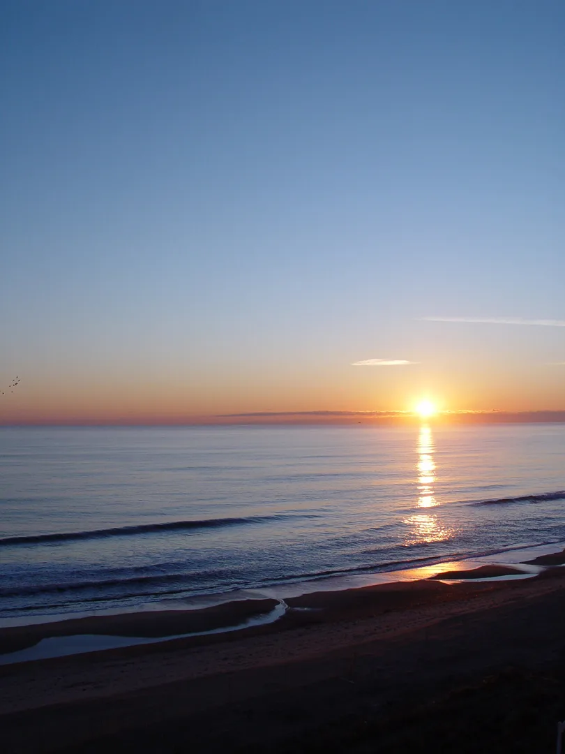 Beach Sunrise