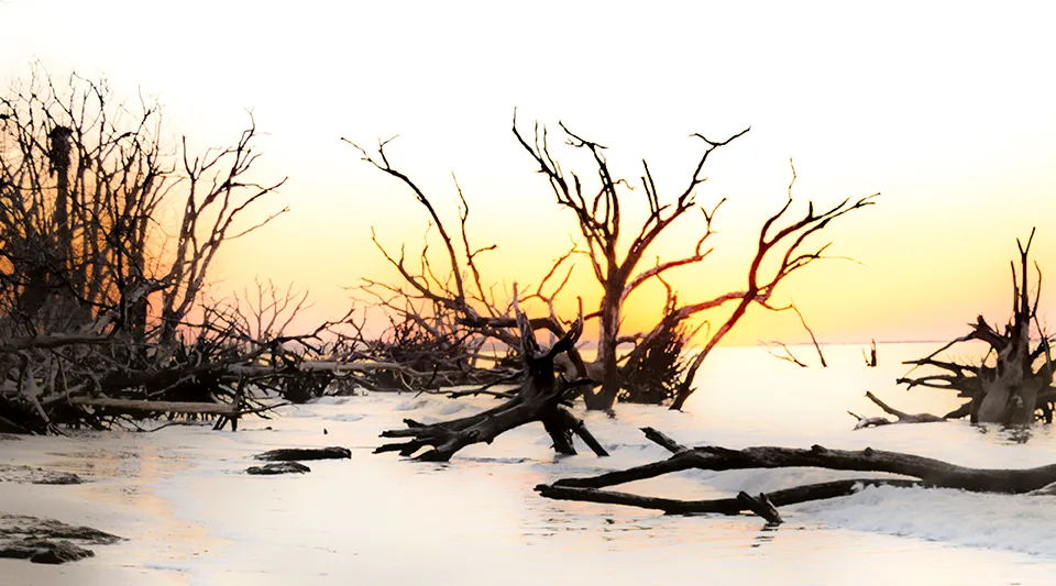 Edistosunrise 33