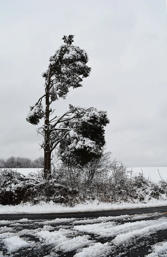 Snow 2015 County