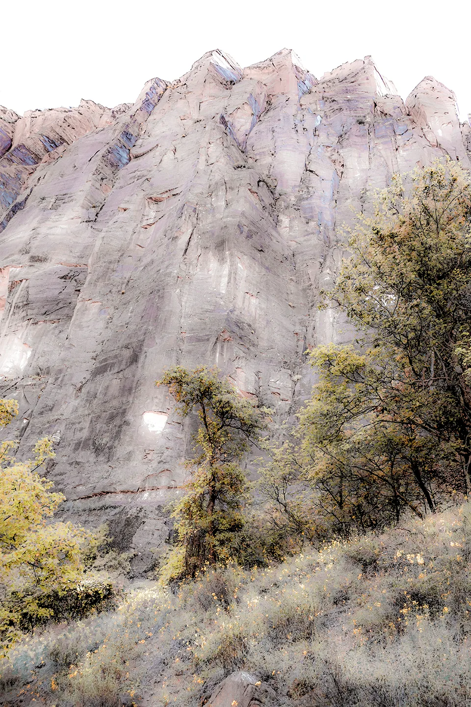 Zion 34