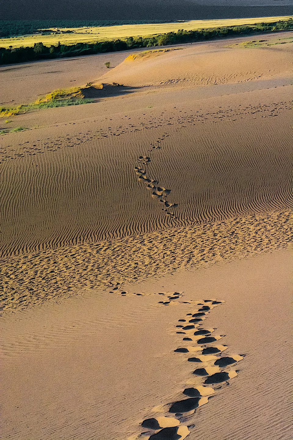 GreatSands 32
