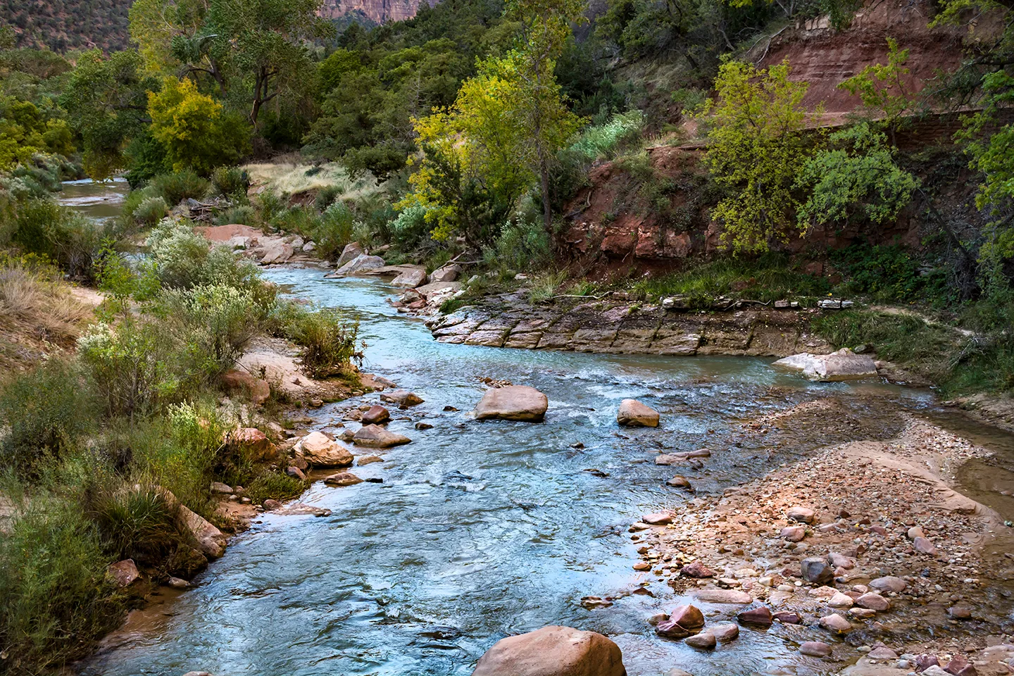 Zion 2