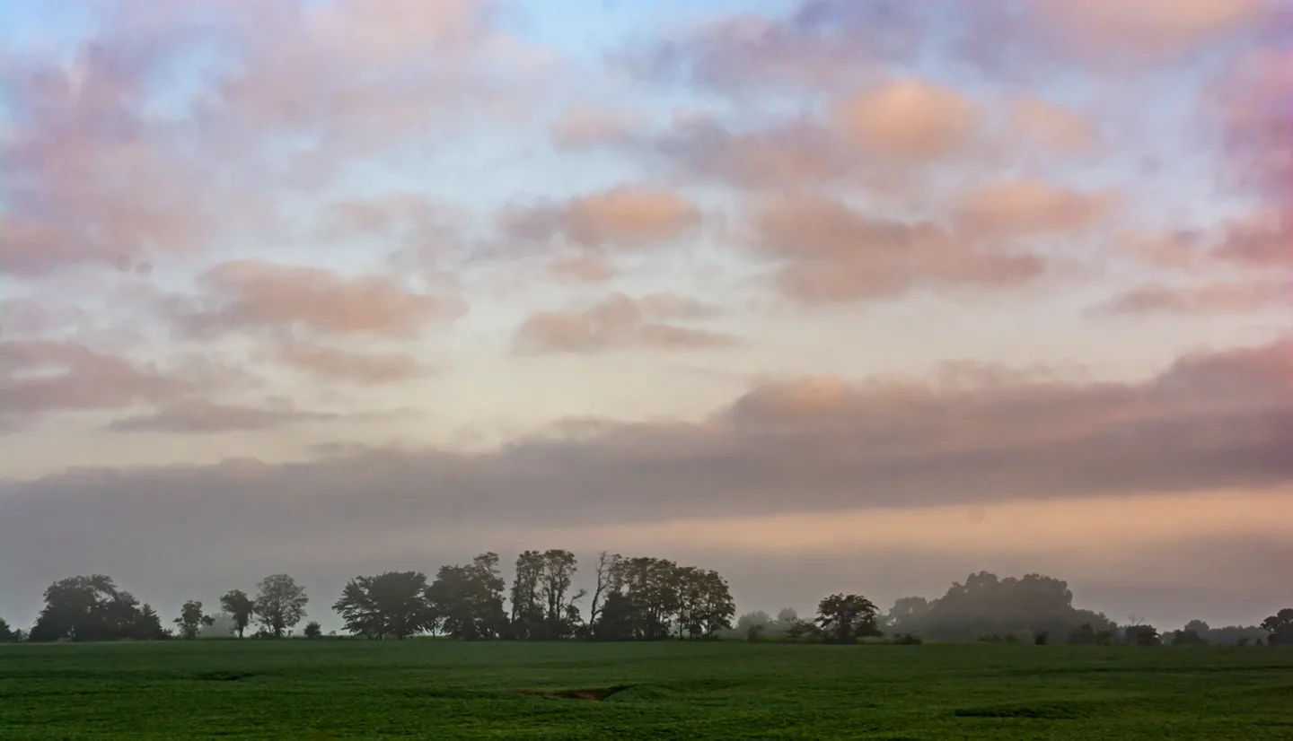 Sunrise Openfield 1