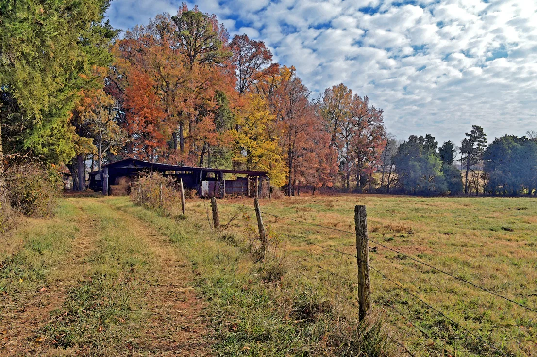Poteat Road 4