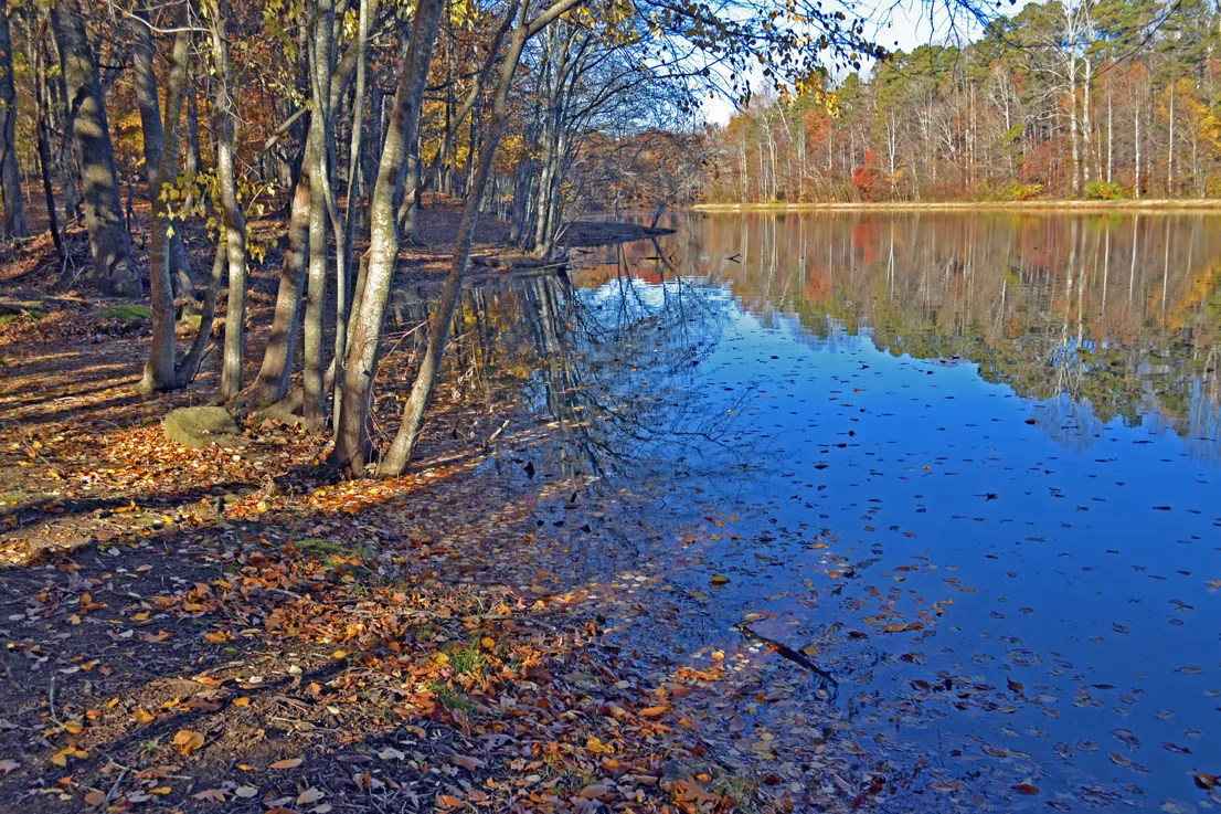 Landis Lake 3