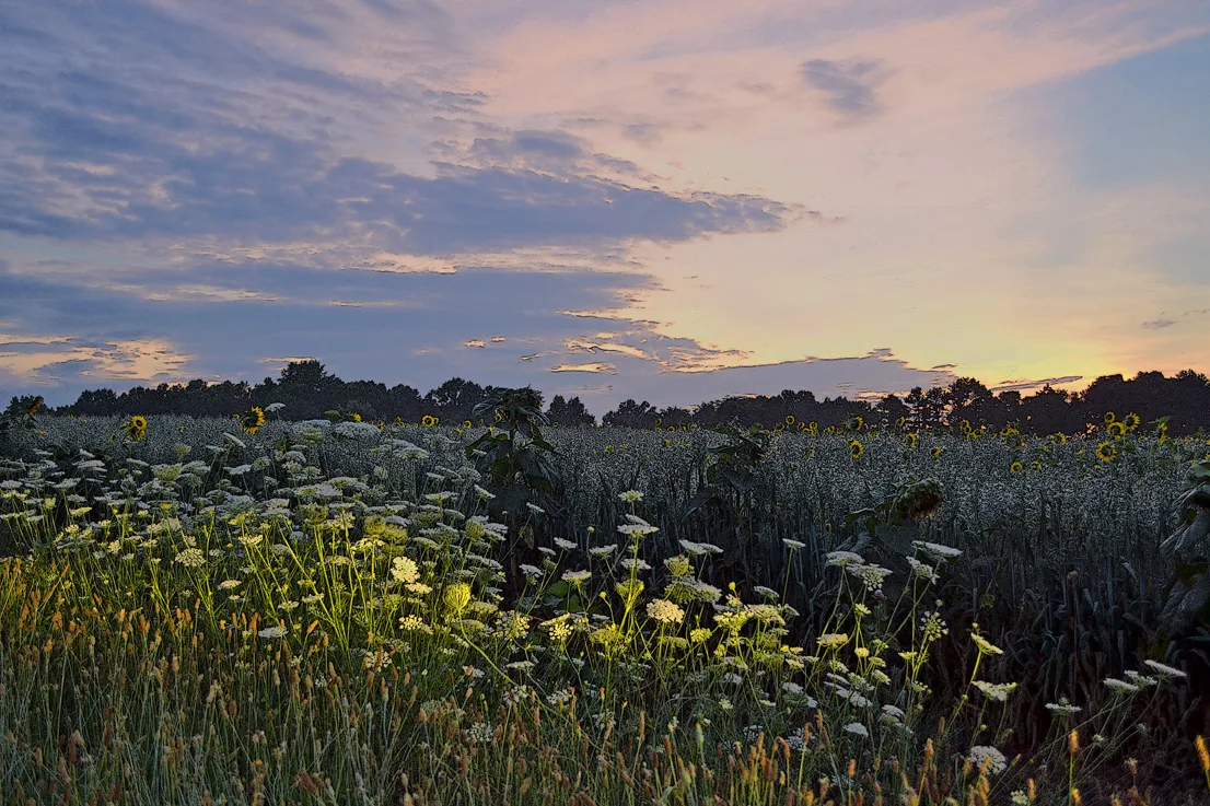 Hoffner Farm 18