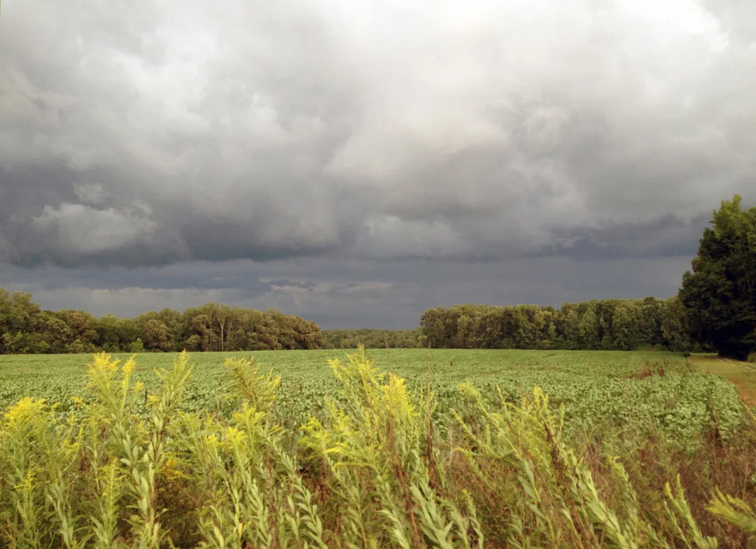Storm Front 3
