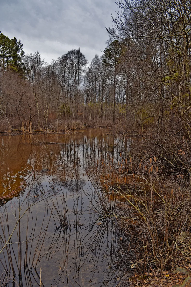 Wildlife Access 12