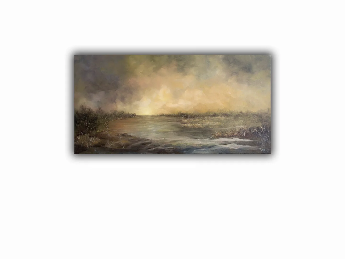 Coastal Plain 1