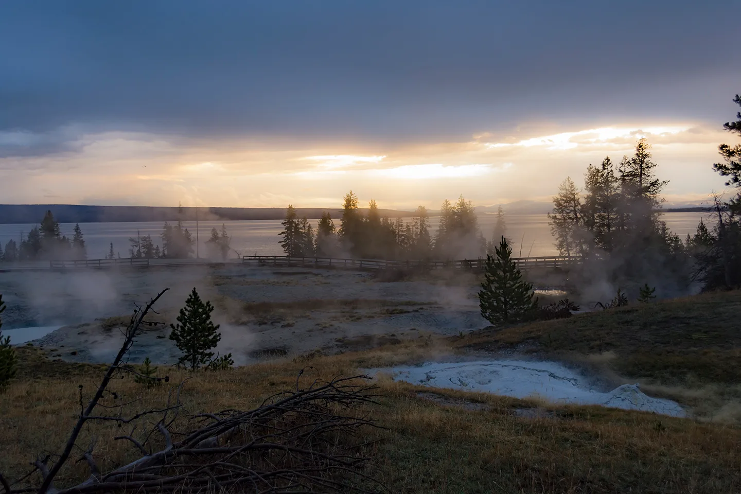 Yellowstone 23