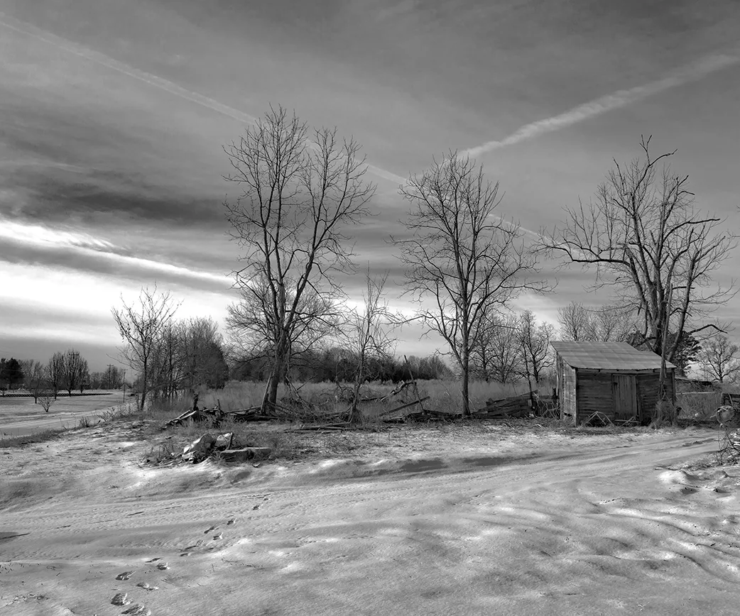 Shed 1
