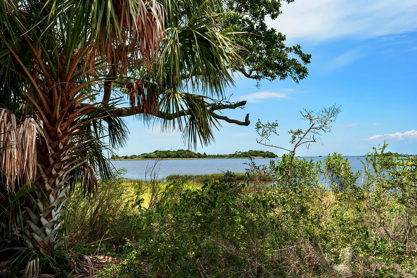 Cedarkey 14