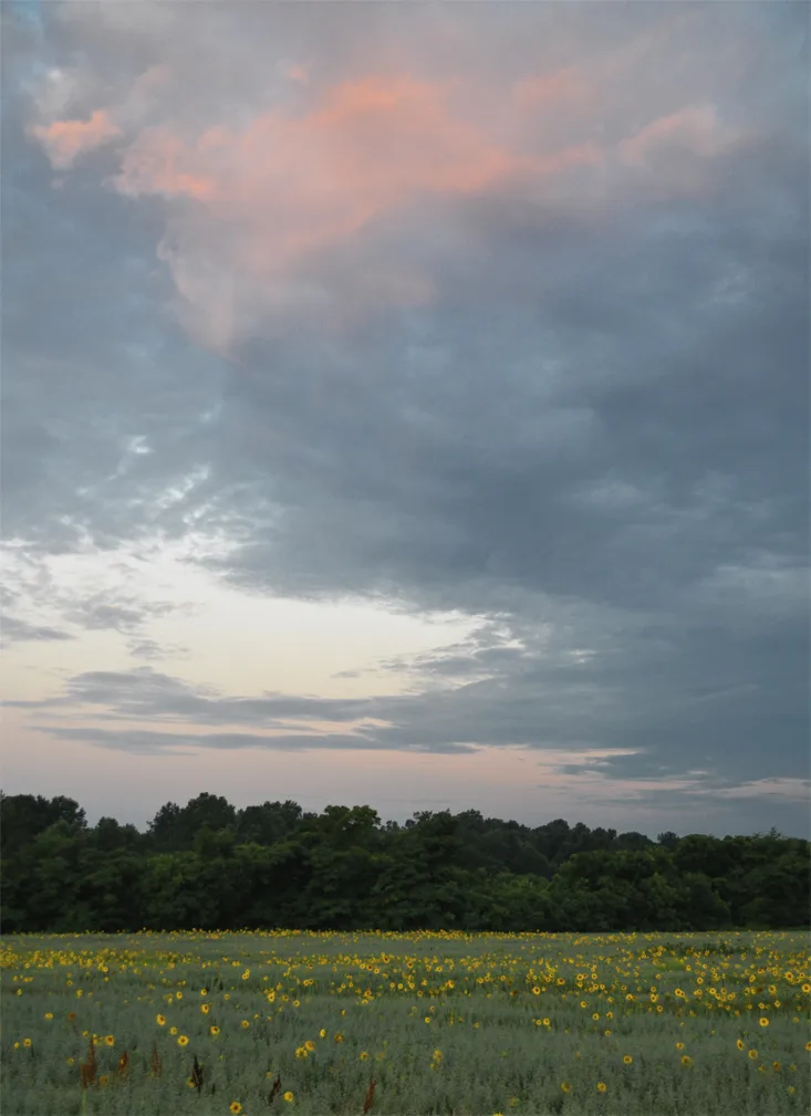 Hoffner Farm 27