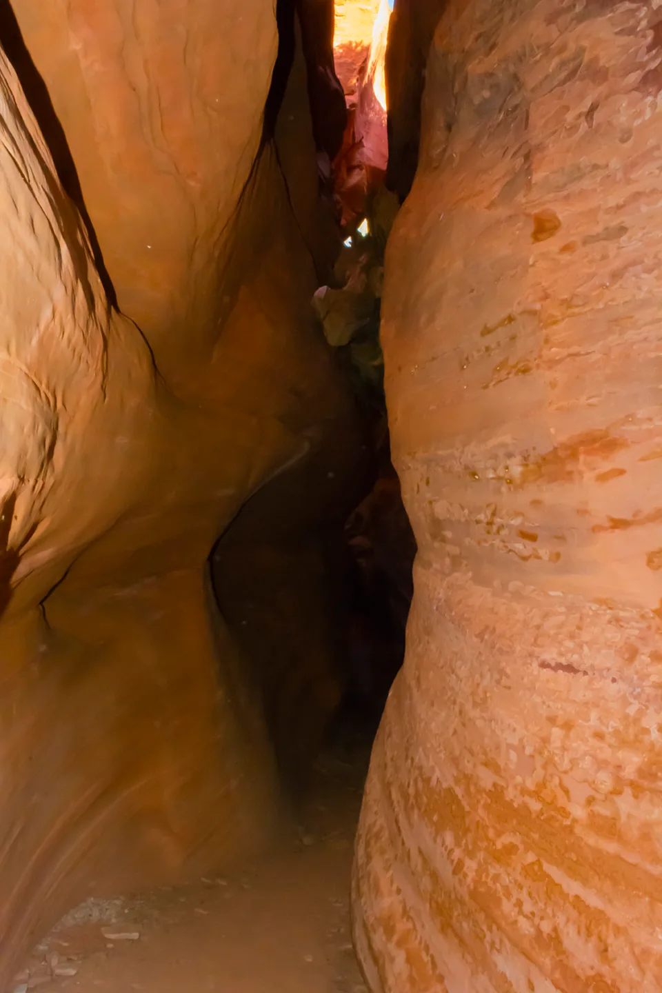 Peekaboo 22