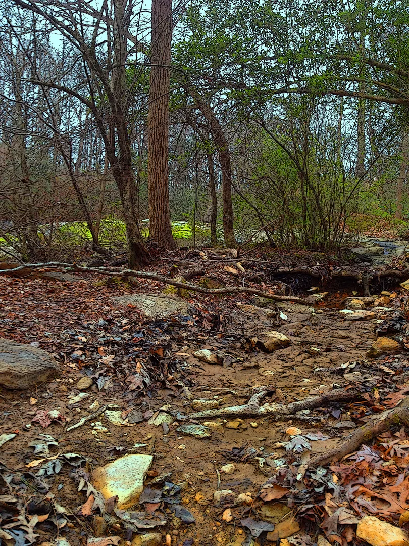 Uwharrie dry creek