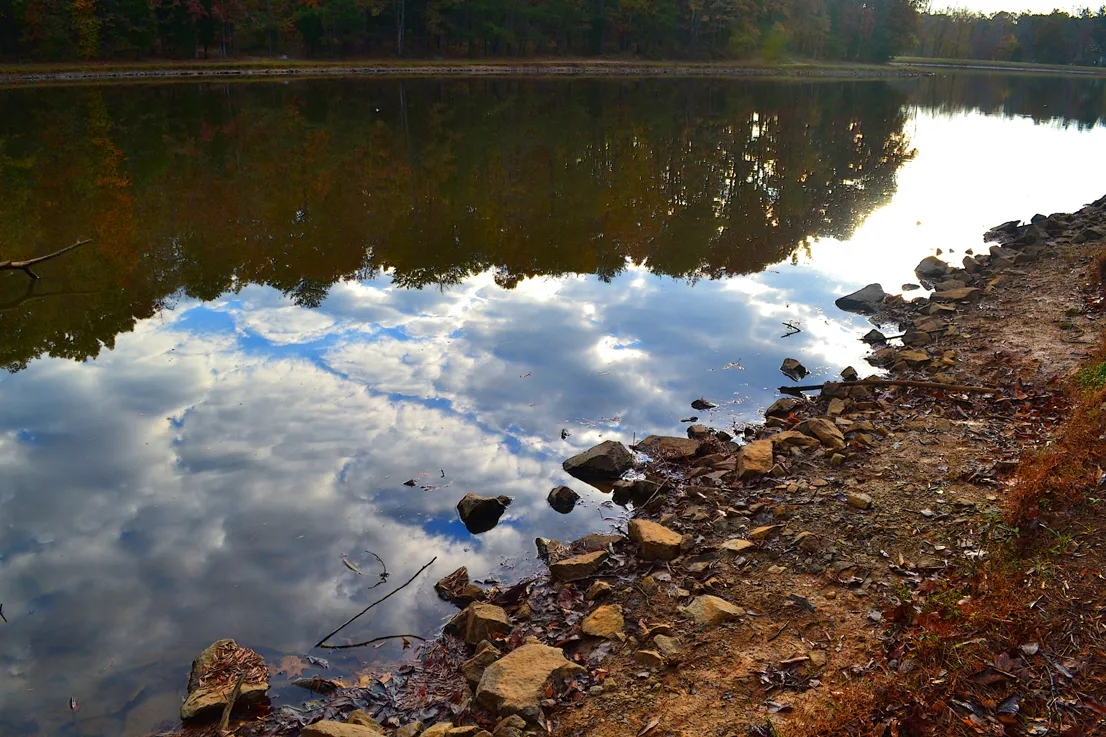 Reflections 2