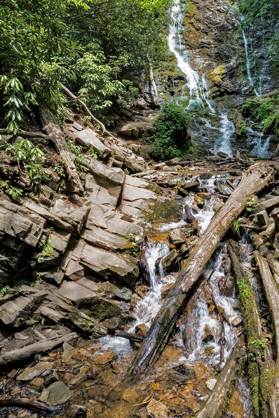 Mingofalls 1