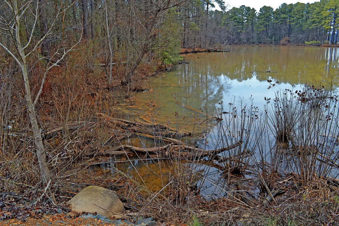 Wildlife Access 10