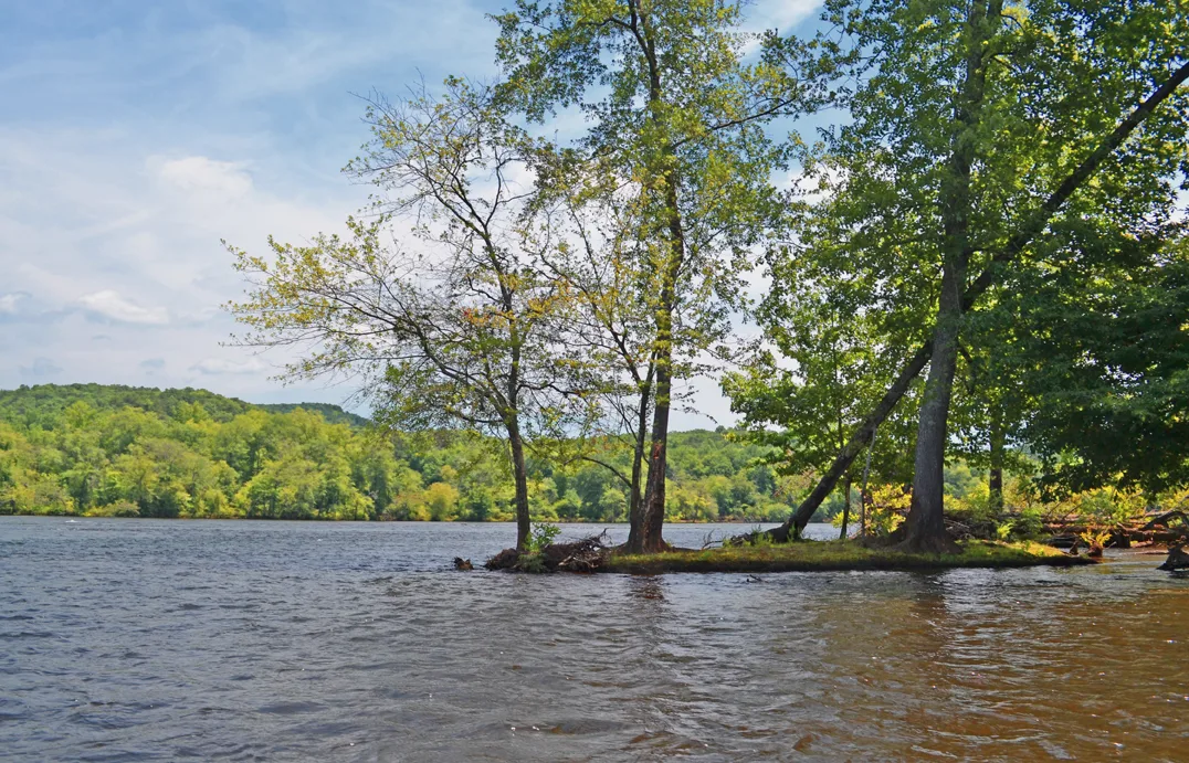 Yadkin-Peedee 29