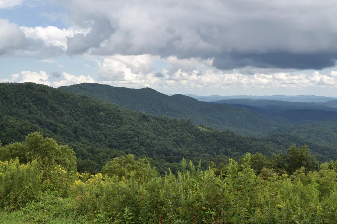 Grandview 2