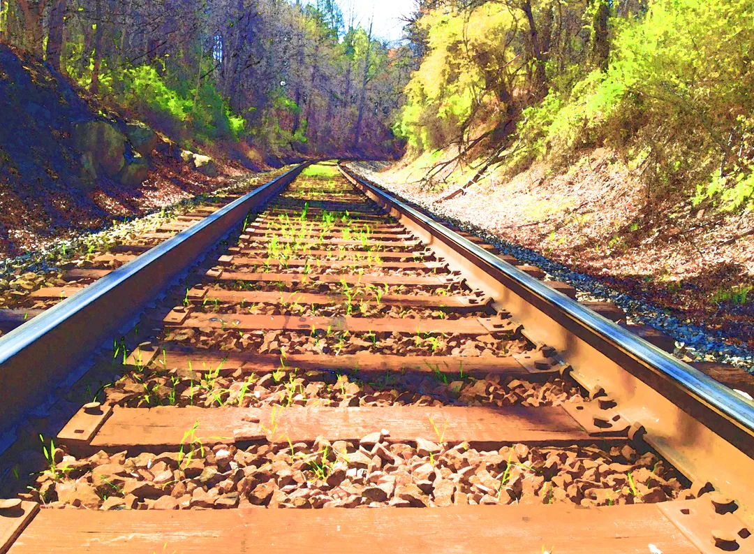 RR Tracks 2