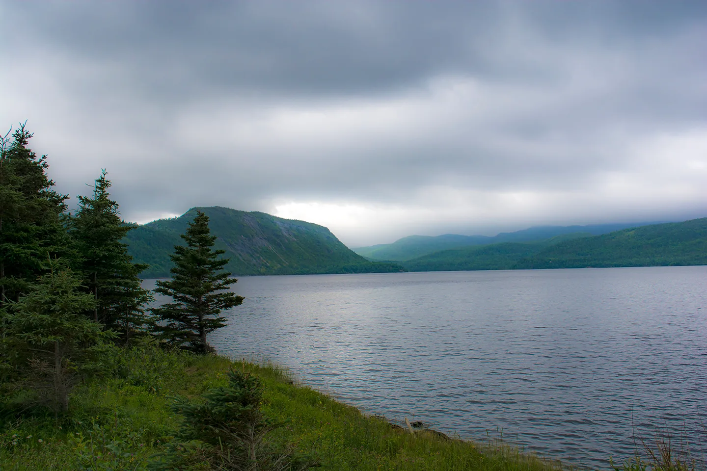 Newfoundlandport 9