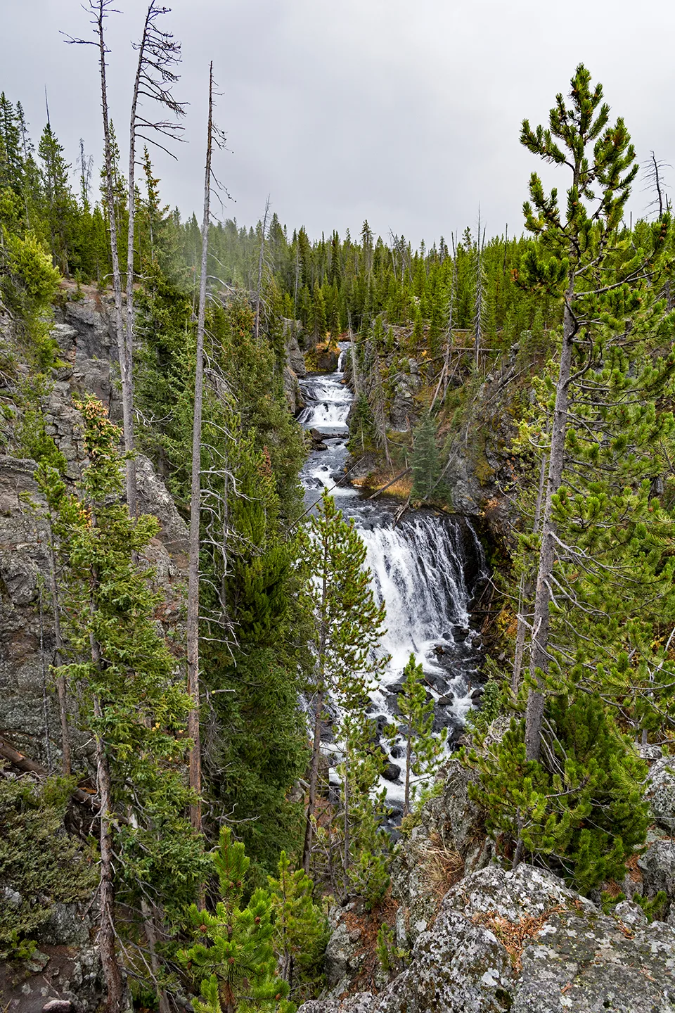 Yellowstone 2