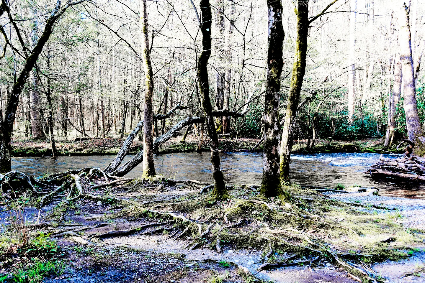 Abramefalls 4.Jpg 5
