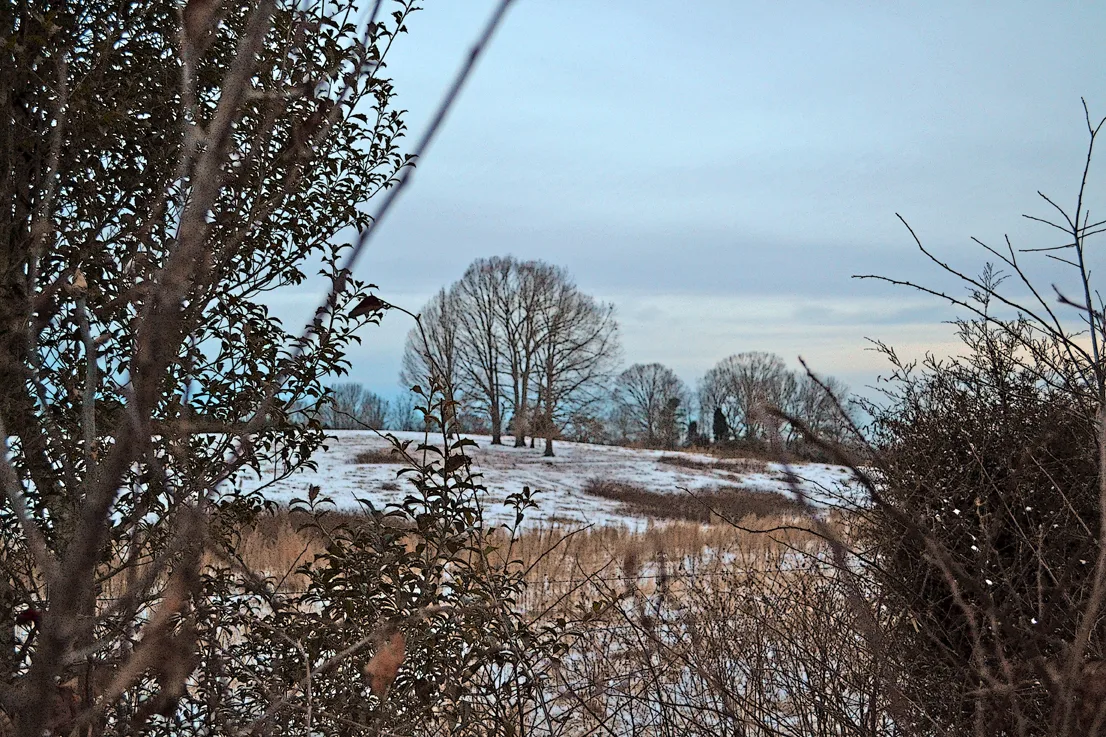 Snow 2014 1
