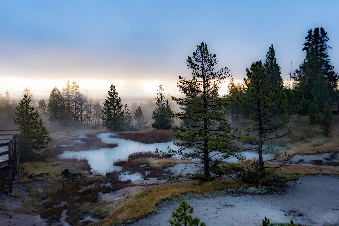 Yellowstone 25