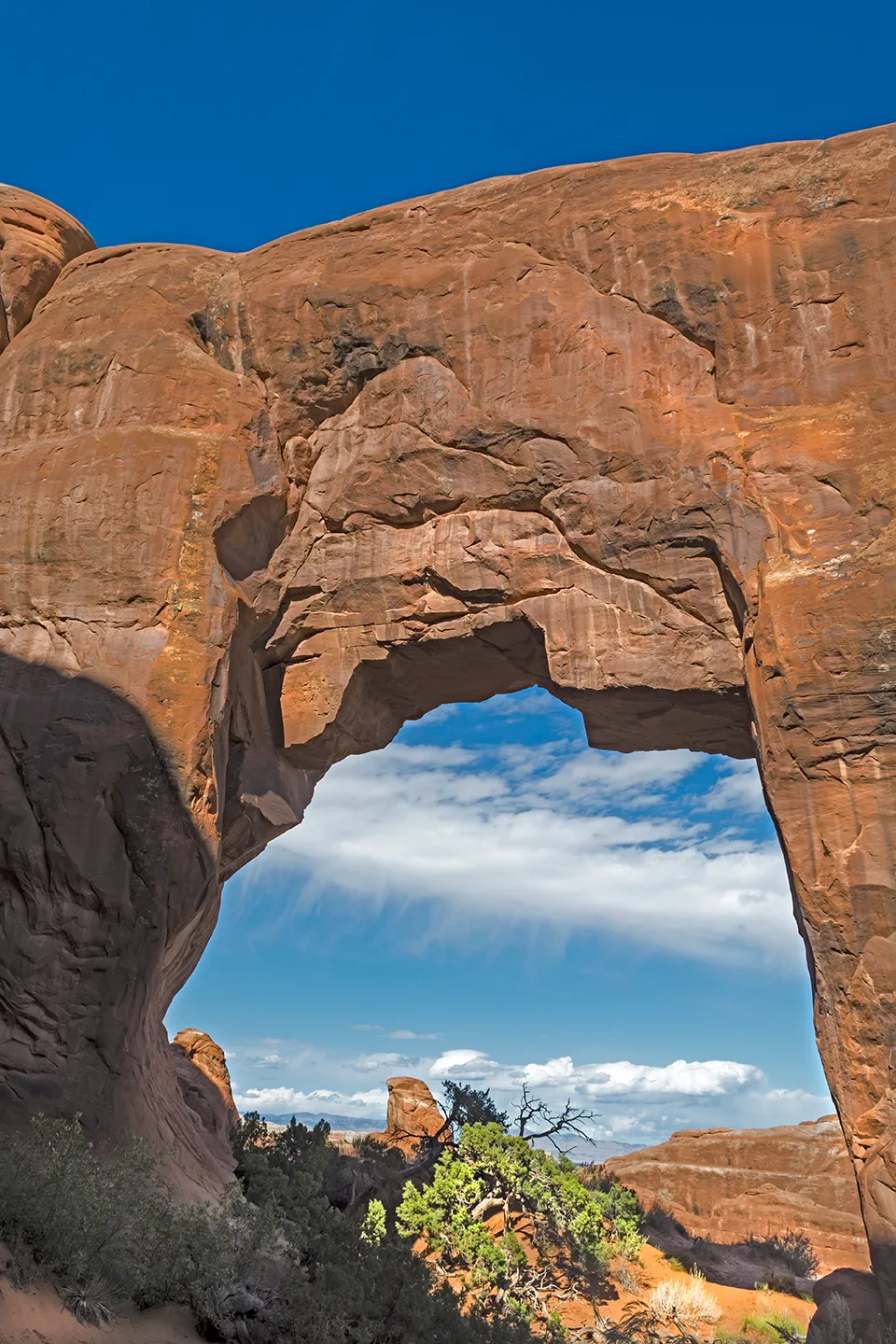 Arches 41