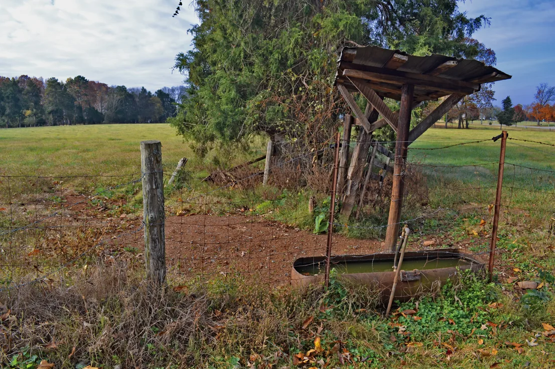 Water Trough