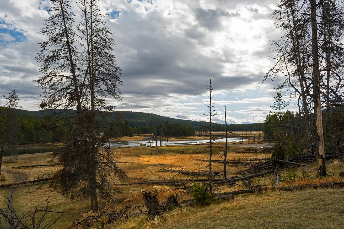 Yellowstone 38