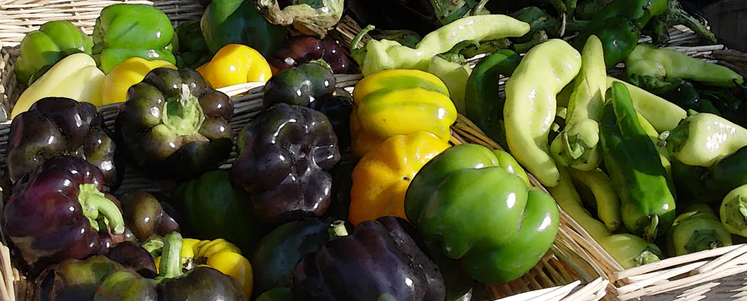 Veggies 2