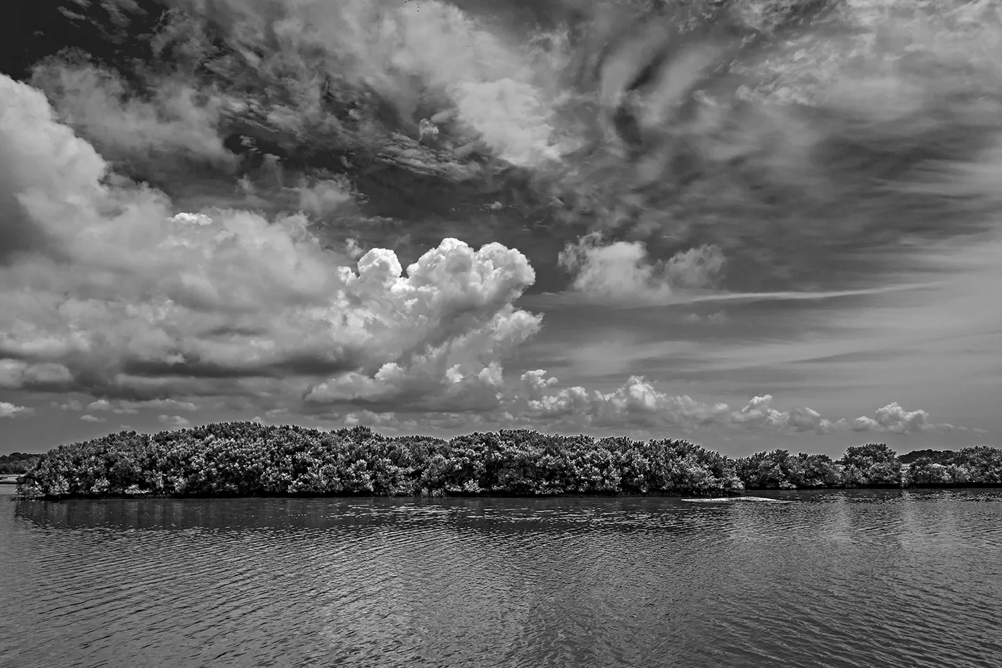 Cedarkey 3 B&W